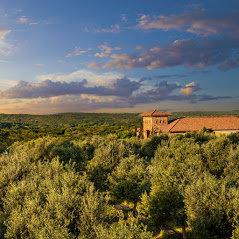 The Bistro at Texas Hill Country Olive Co