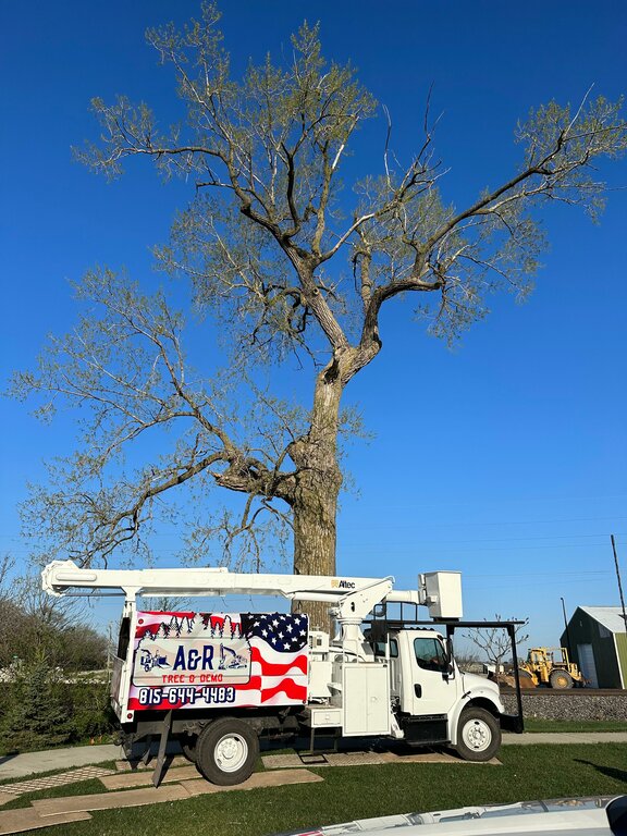 A&R Tree and Demolition Service