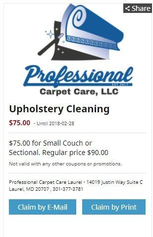 PROFESSIONAL CARPET CARE LLC