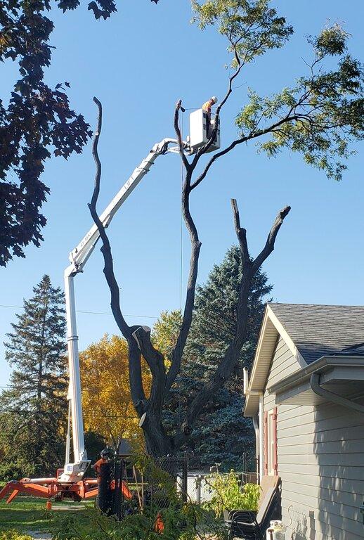 R G Tree Service