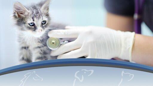 Southwest Florida Veterinary Service