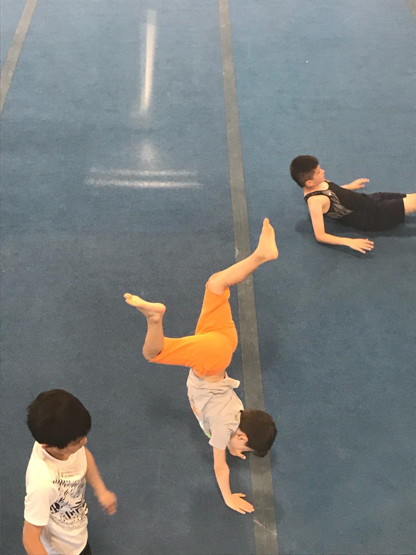 Delta Gymnastics