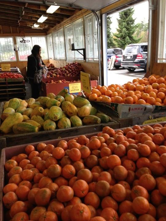 Urban Farm Market