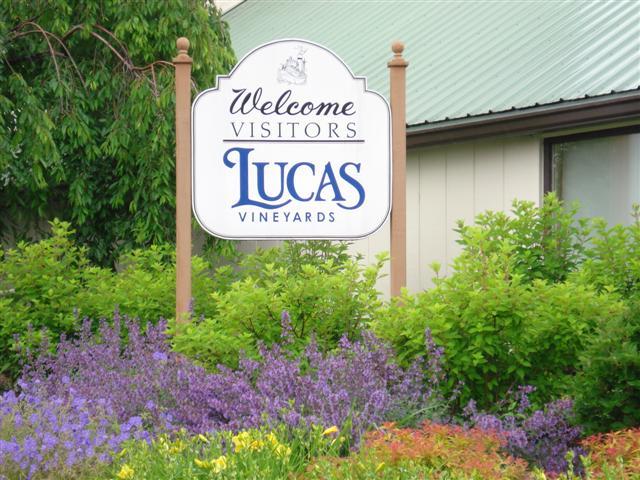 Lucas Vineyards