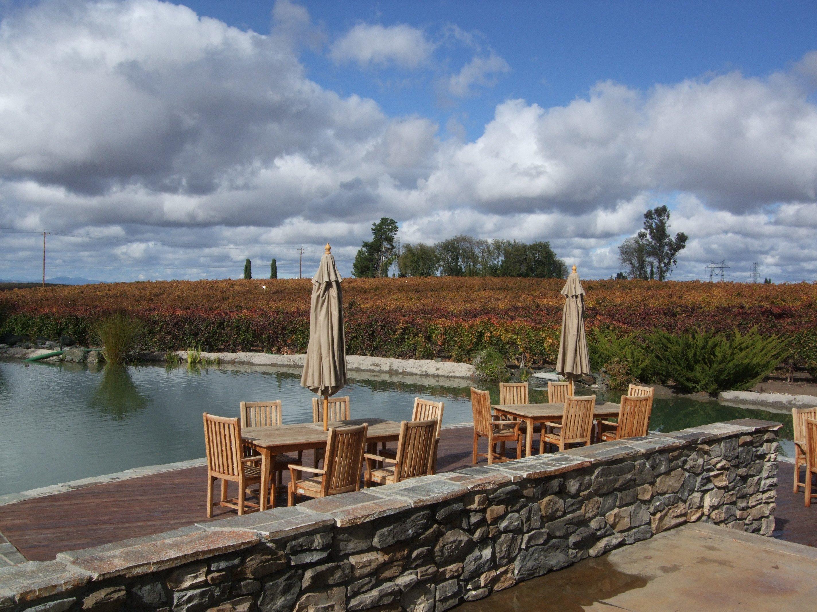 Grapeline Wine Tours, Paso Robles