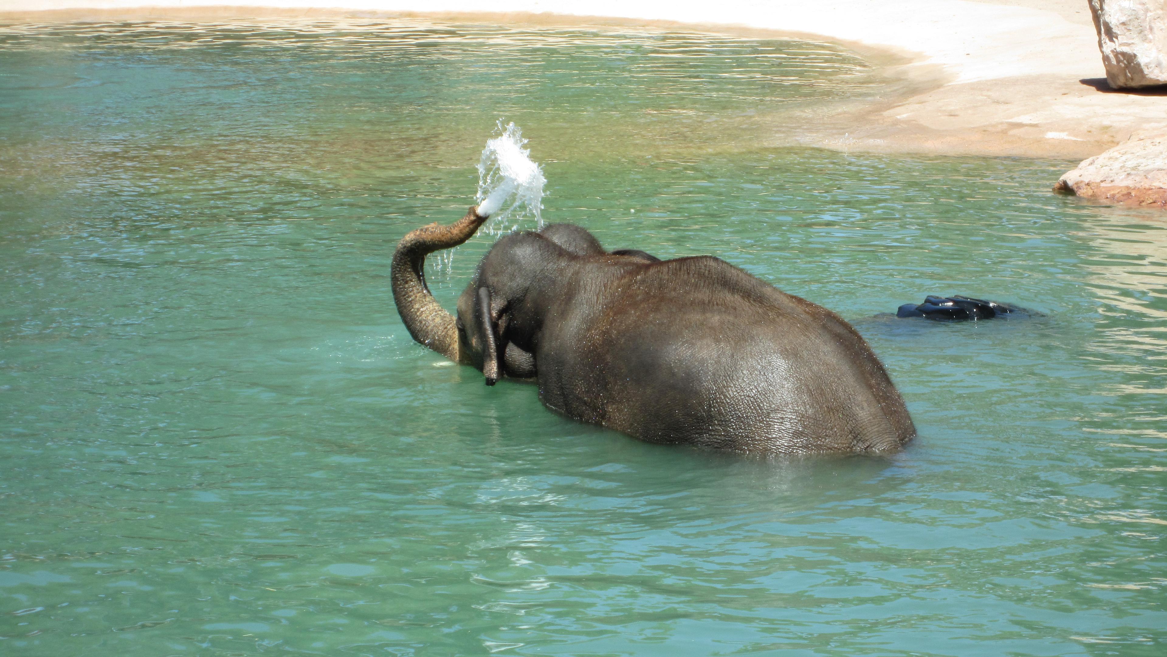 ABQ BioPark Zoo