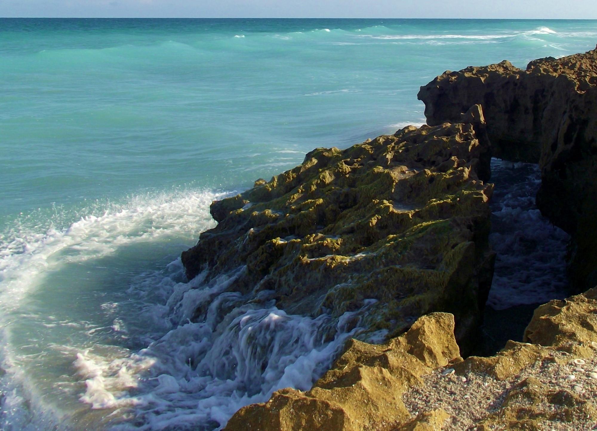 Blowing Rocks Preserve