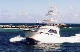 Marlin My Darlin Sportfishing