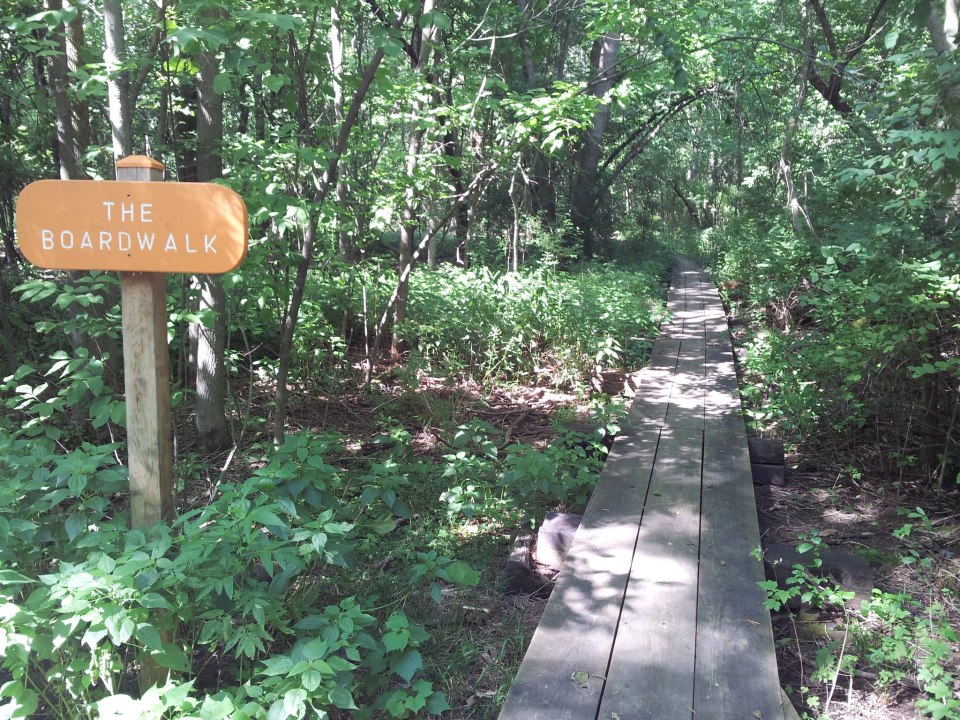 River Bend Nature Center