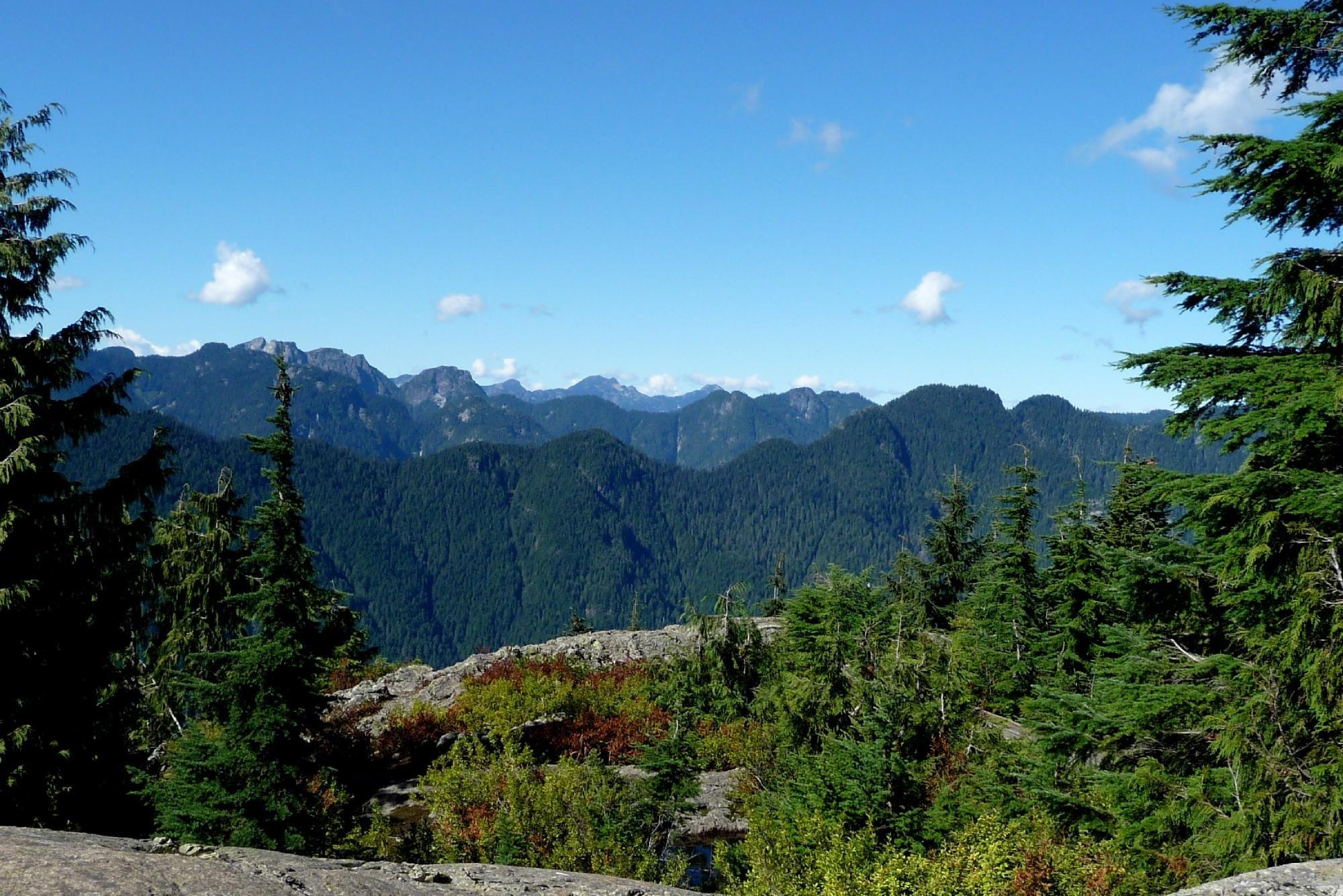 Mt Seymour