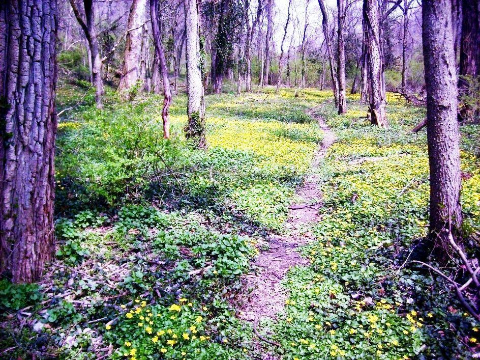 Caldwell Nature Center