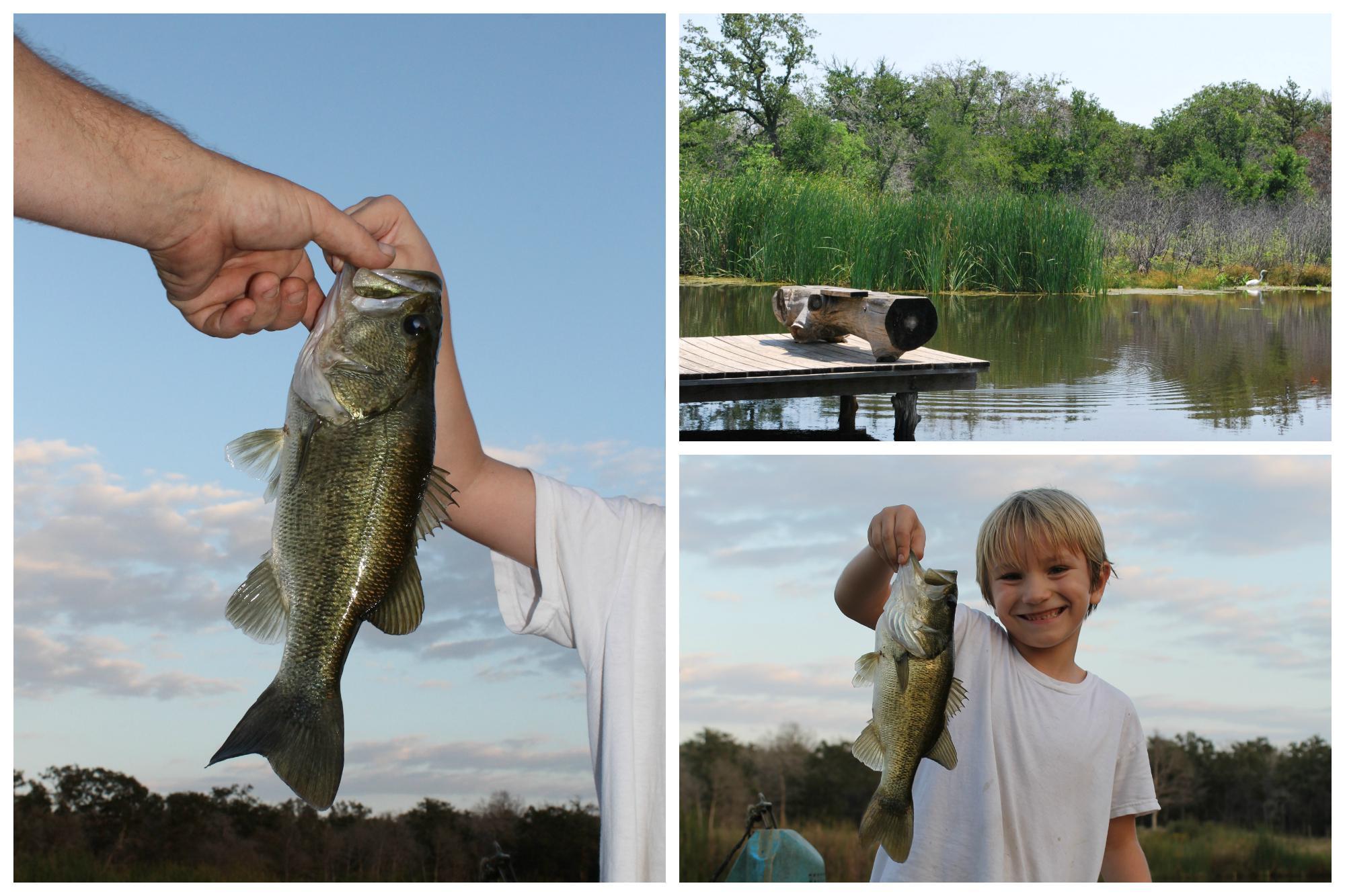 Moby Dick's - Private Pond Fishing