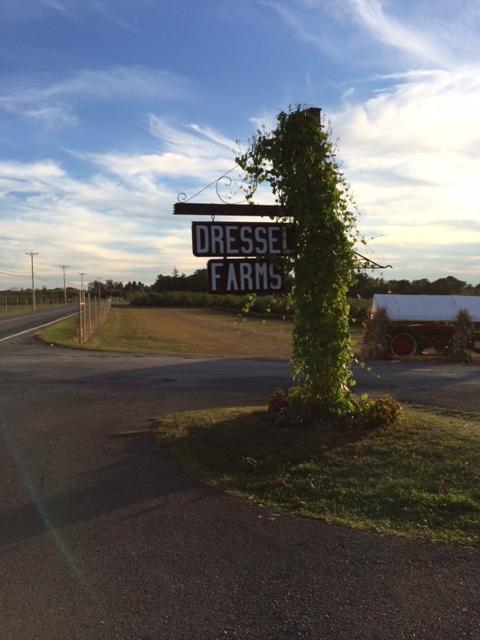 Dressel Farms