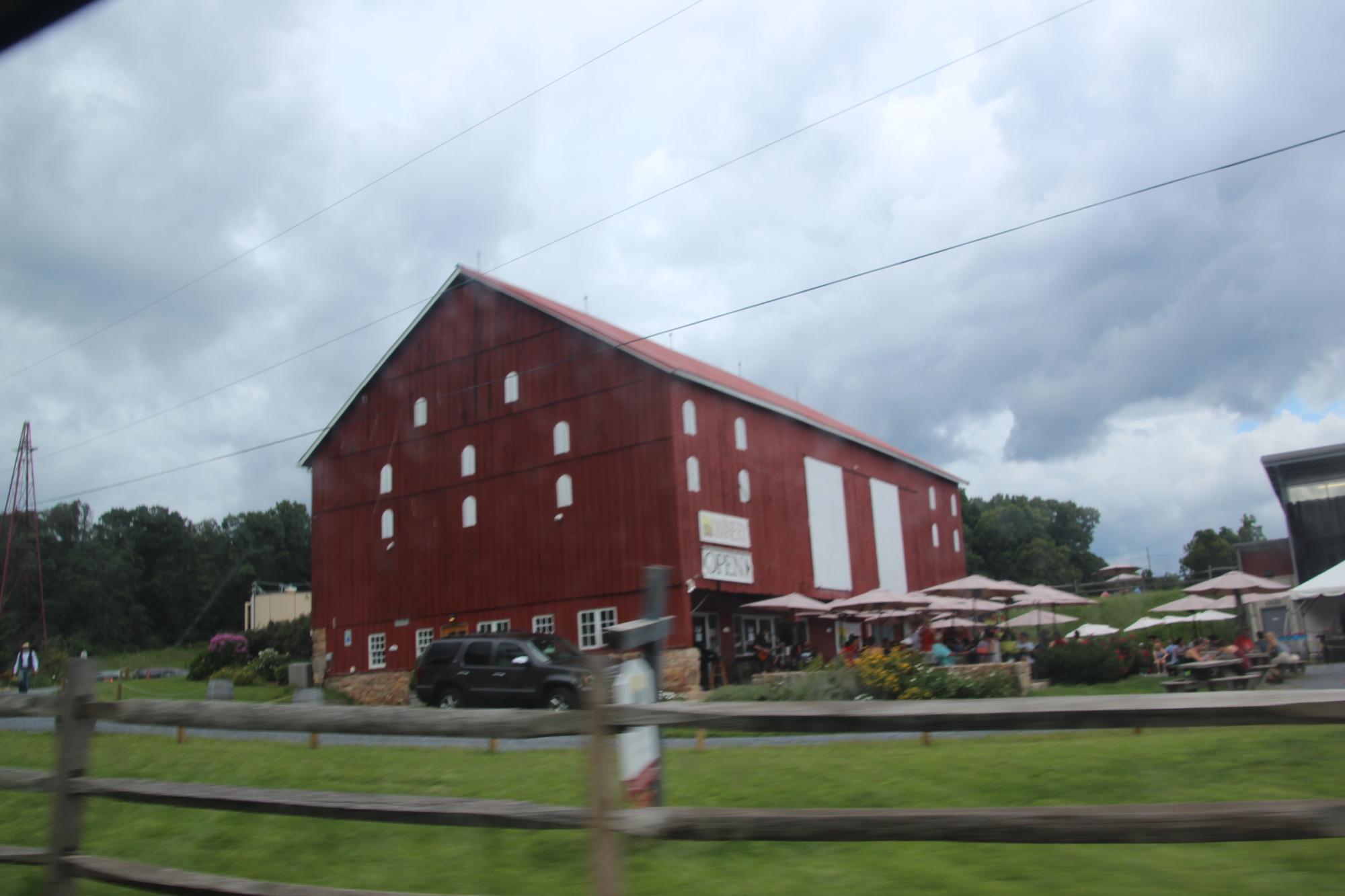 Sugarloaf Mountain Vineyard