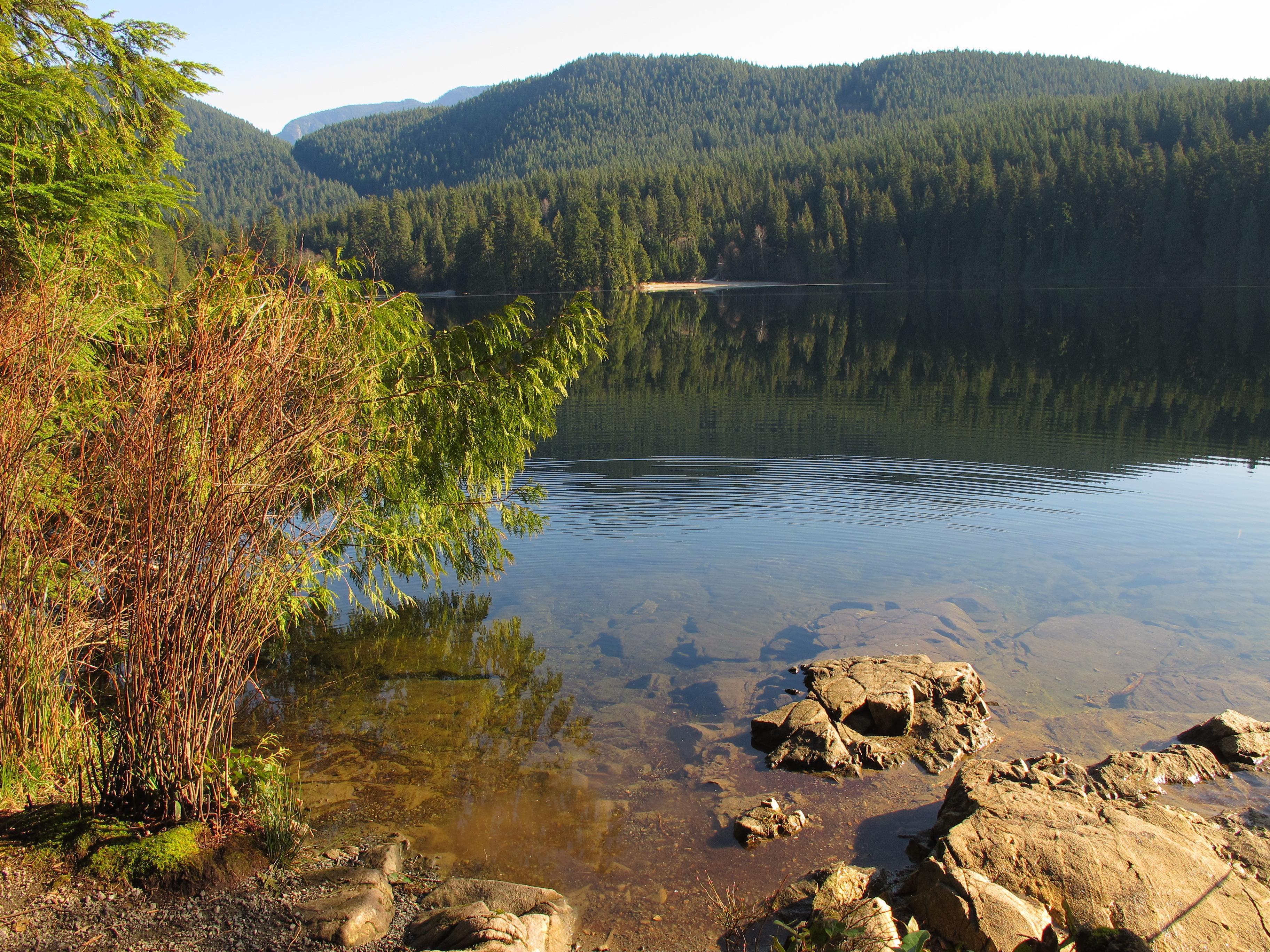 White Pine Beach