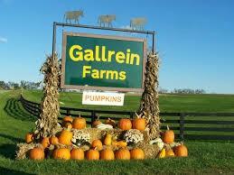 Gallrein Farms