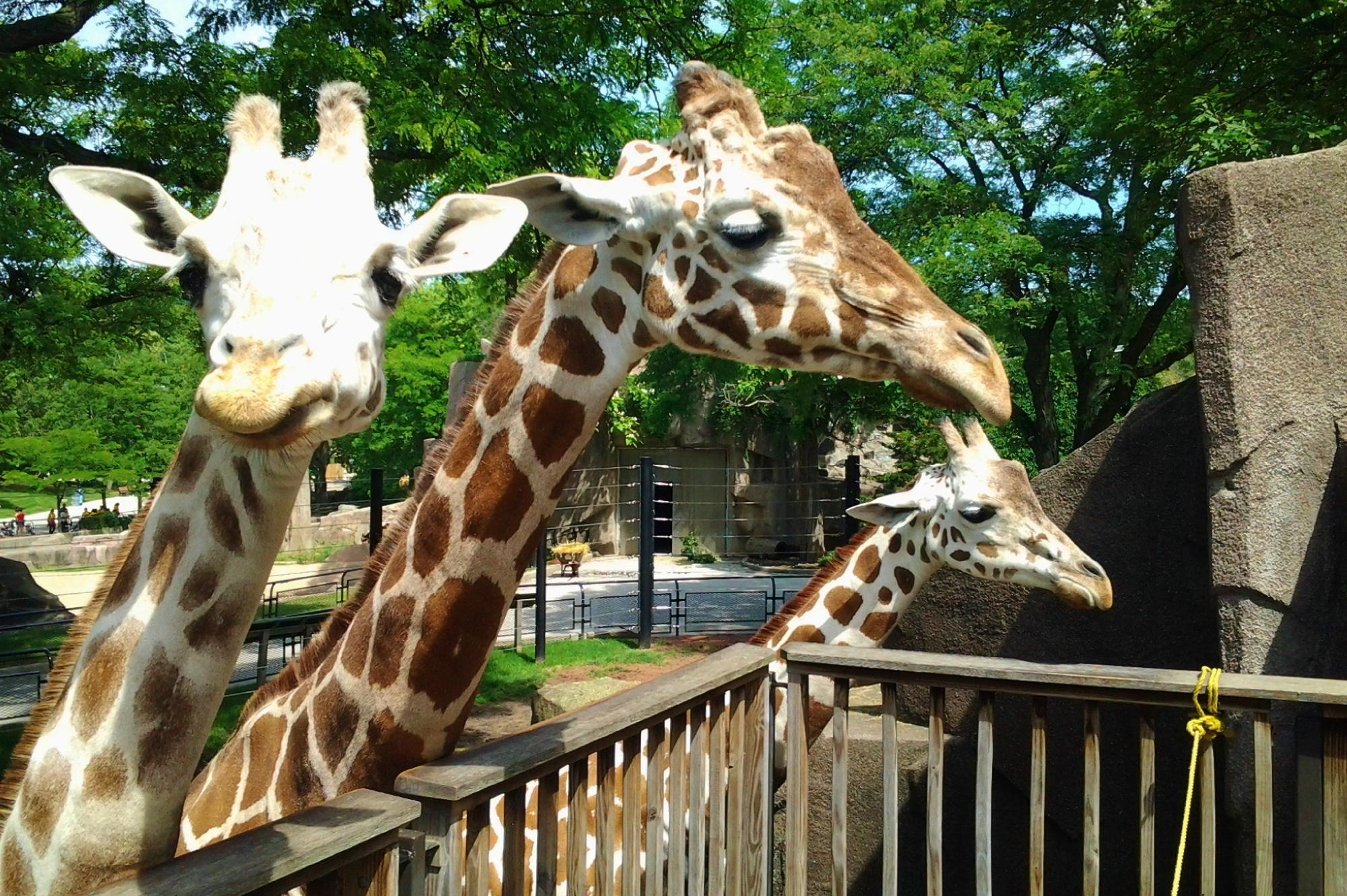 Milwaukee County Zoo