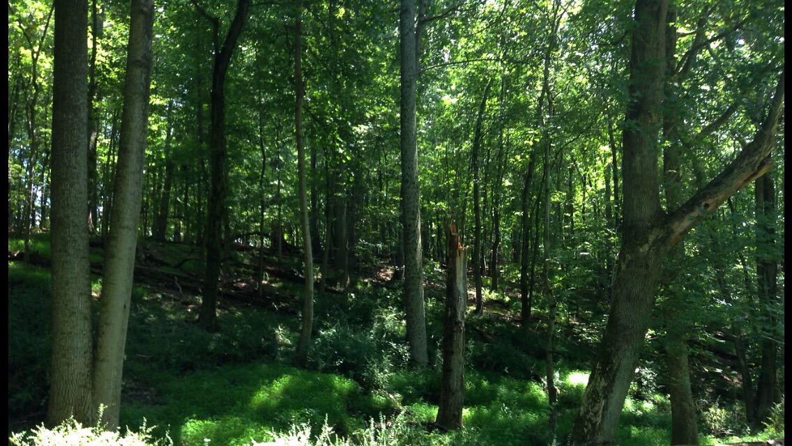 Great Seneca Stream Valley Park