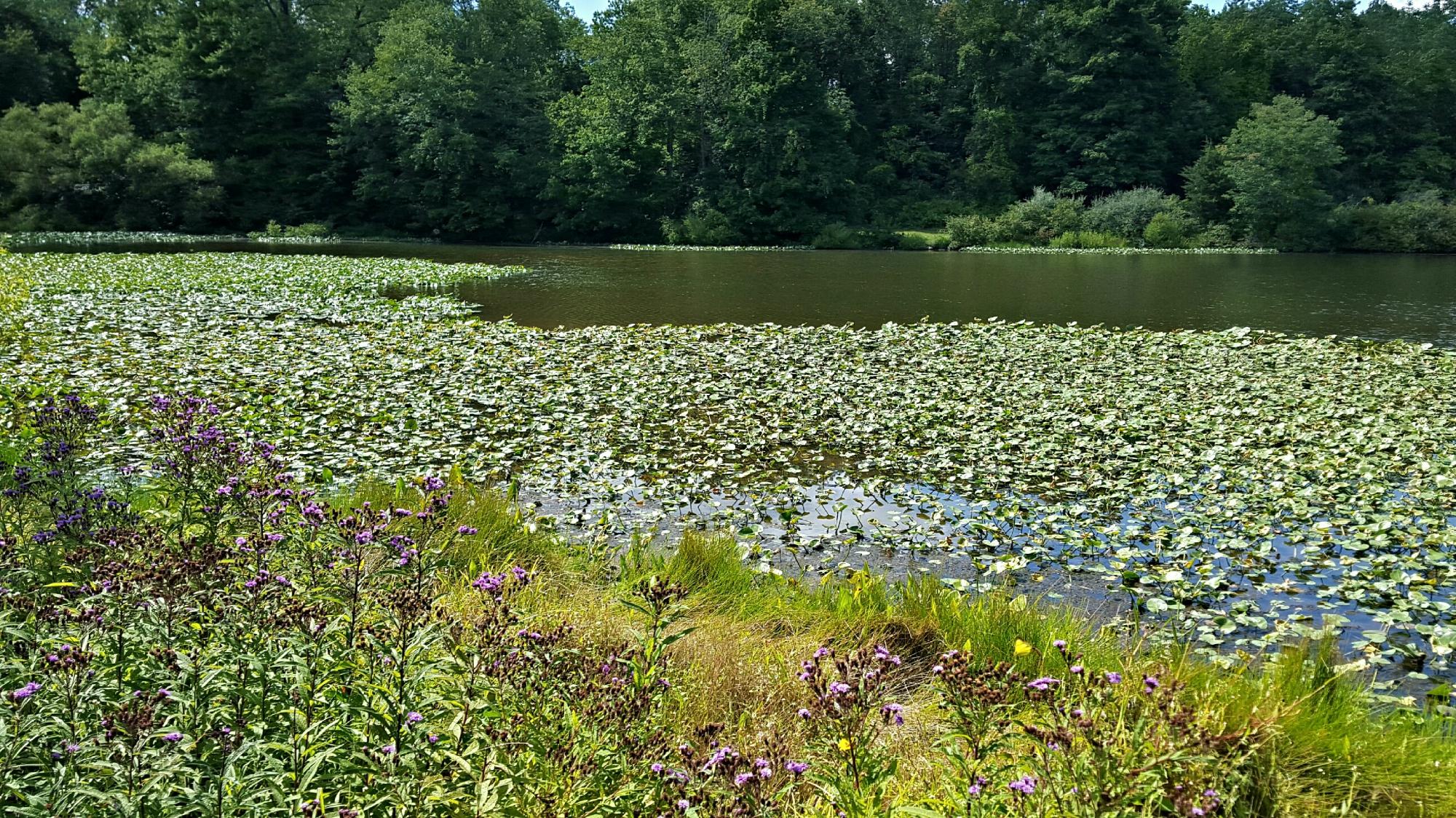 Lawrence Hopewell Trail