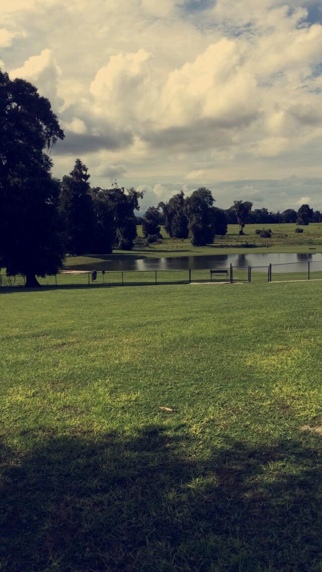 Barkley Square Dog Park