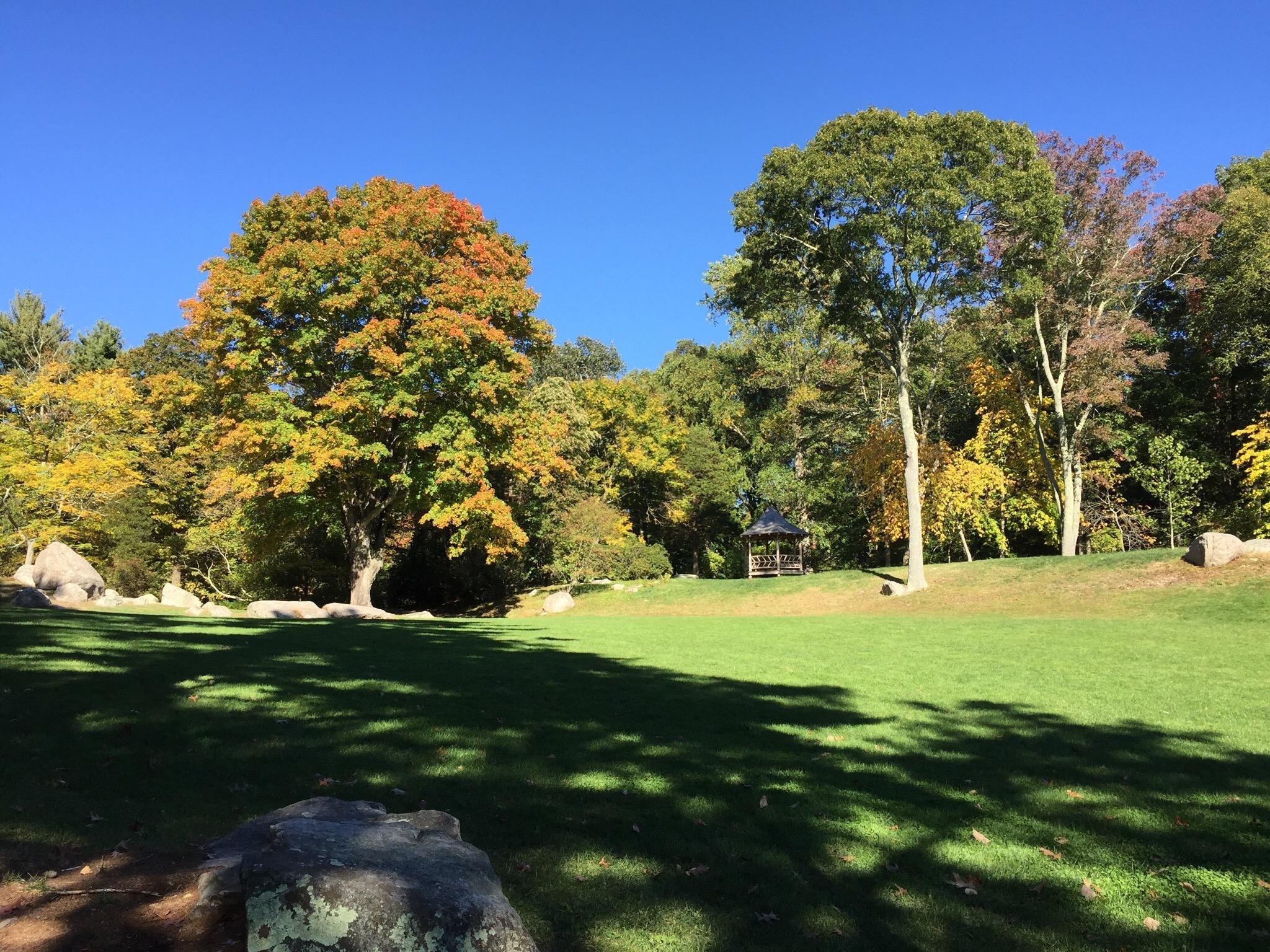 Connecticut College Arboretum