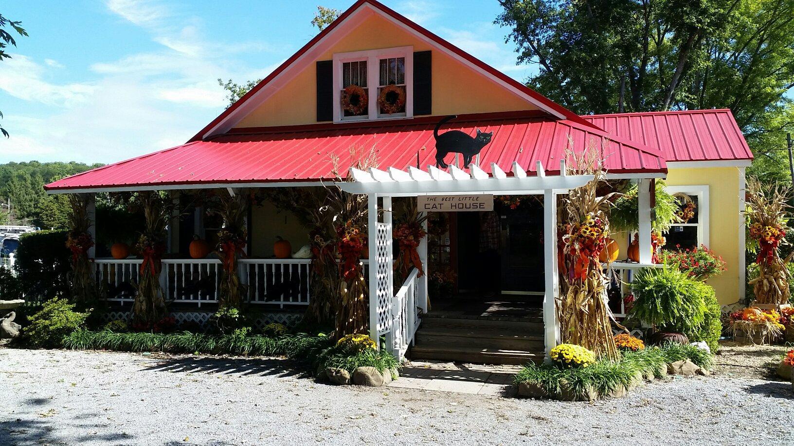 Smoky Mountain Cat House