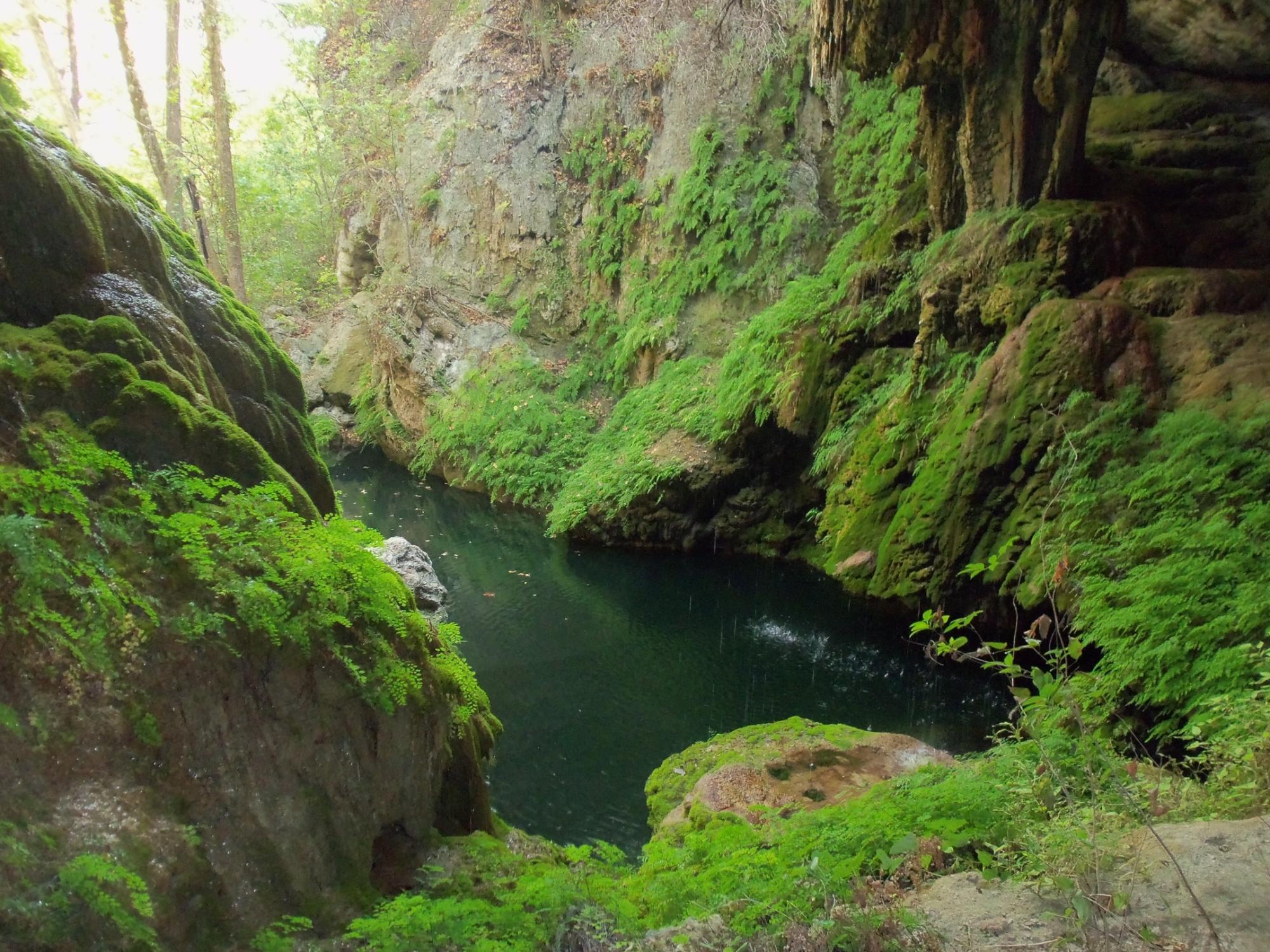 Westcave Outdoor Discovery Center