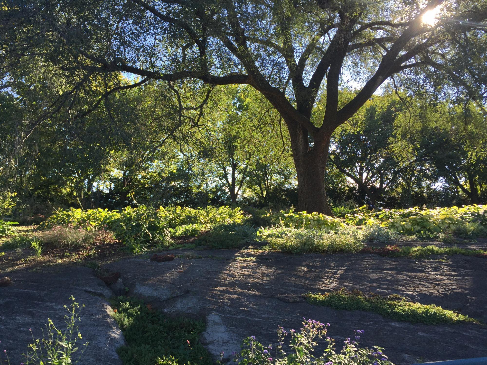 Fort Tryon Park