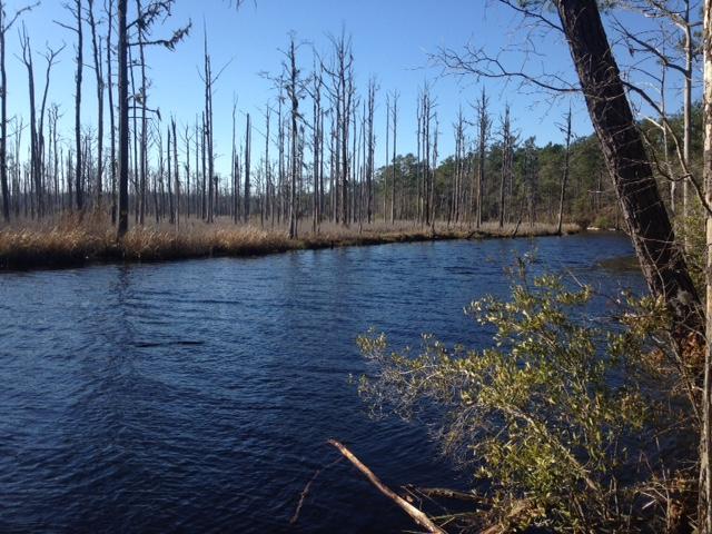 Brunswick Nature Park