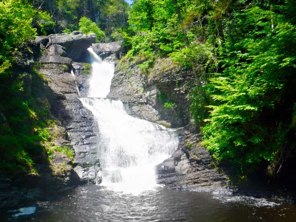 Raymondskill Falls