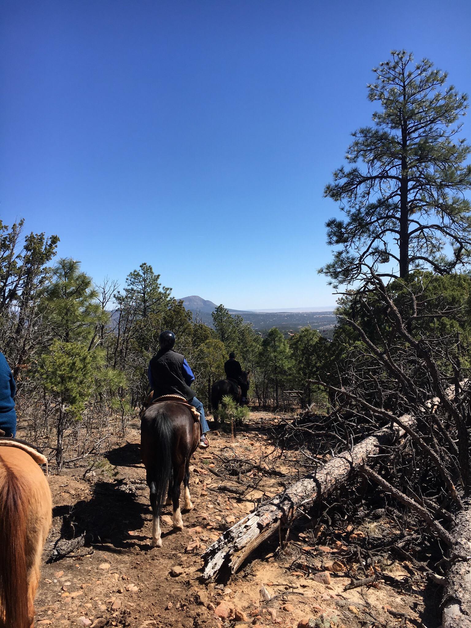 Cedar Crest Country Cottage and Stables