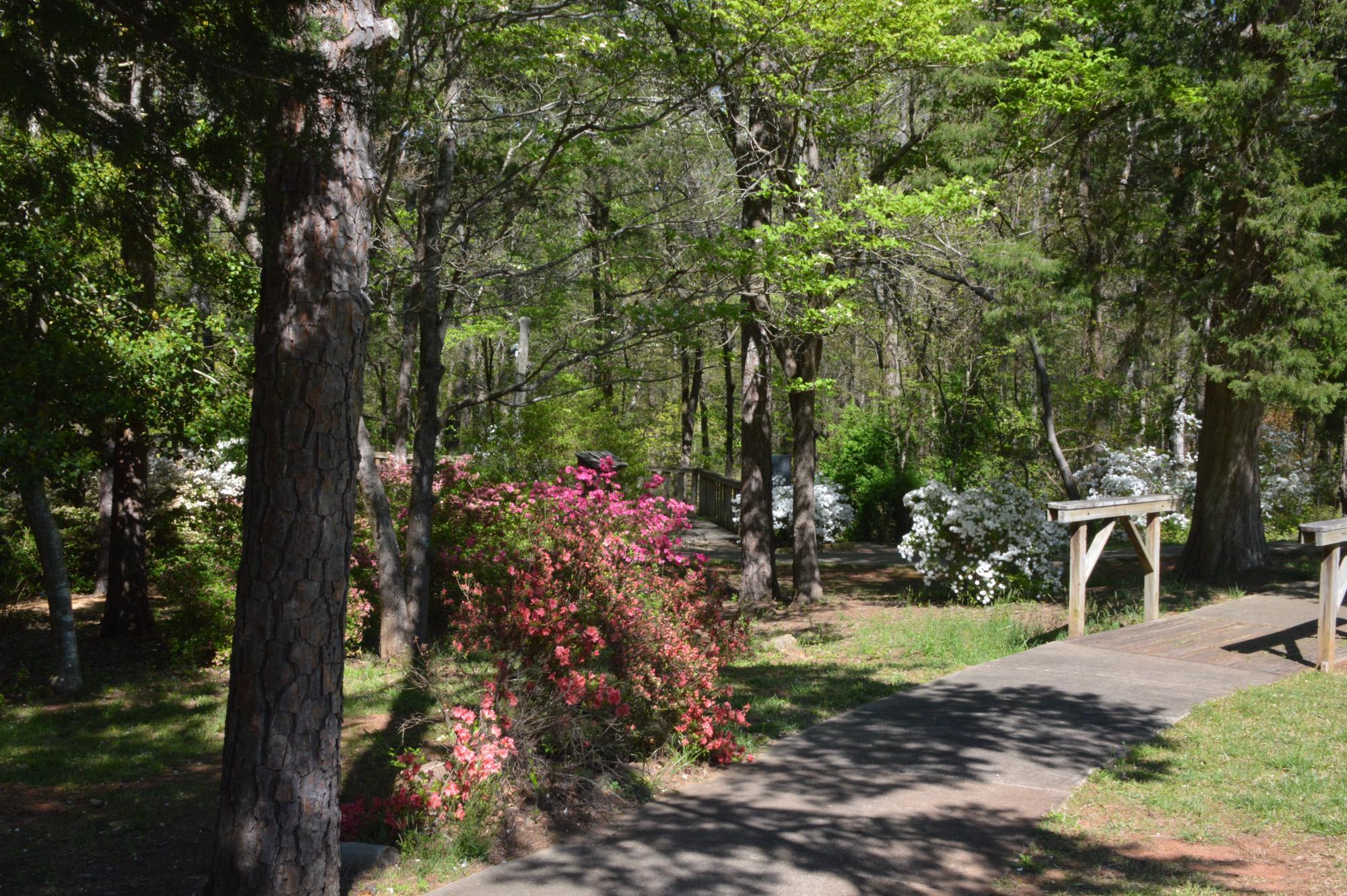 Andrew Jackson State Park