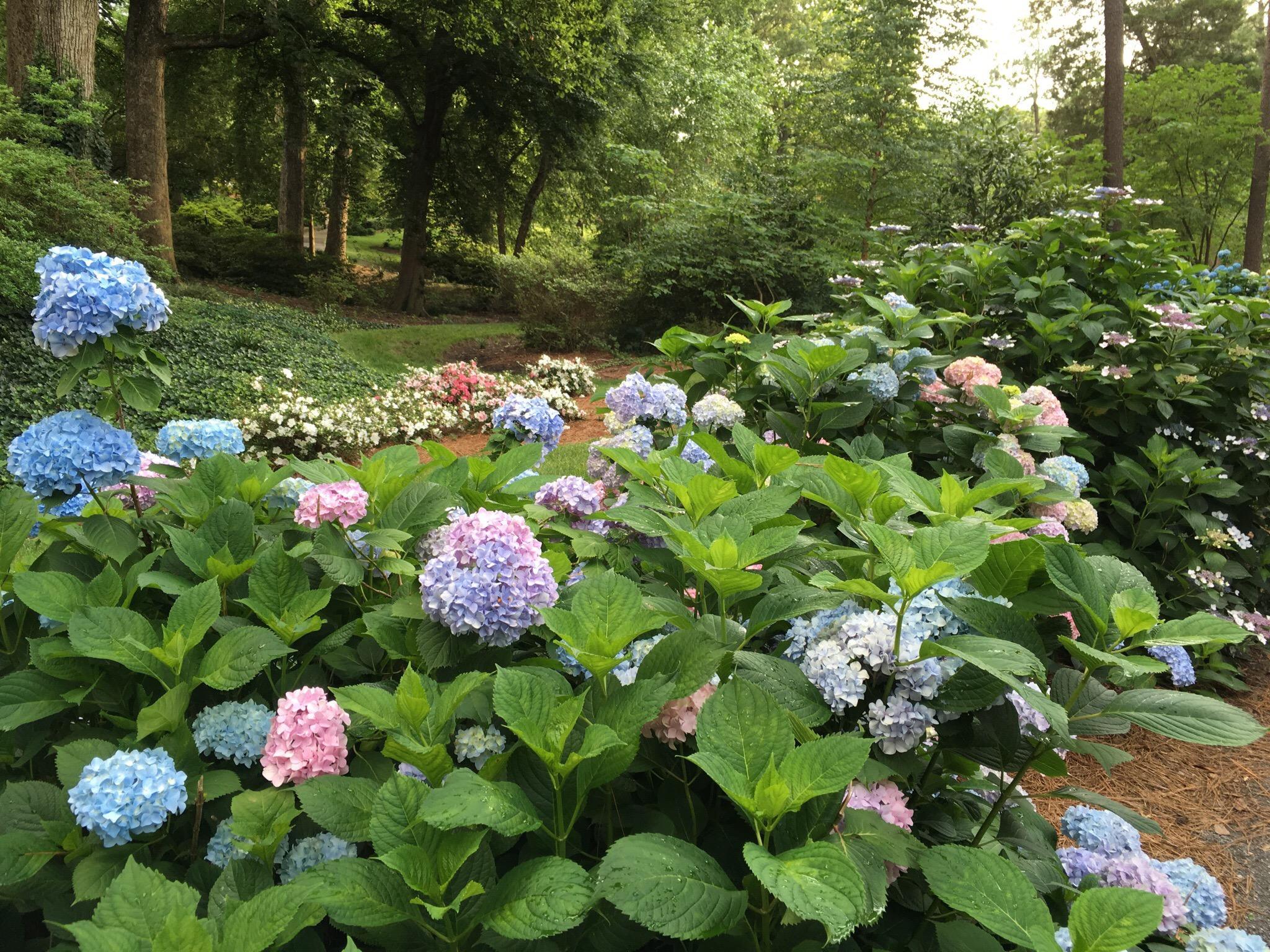 Glencairn Gardens