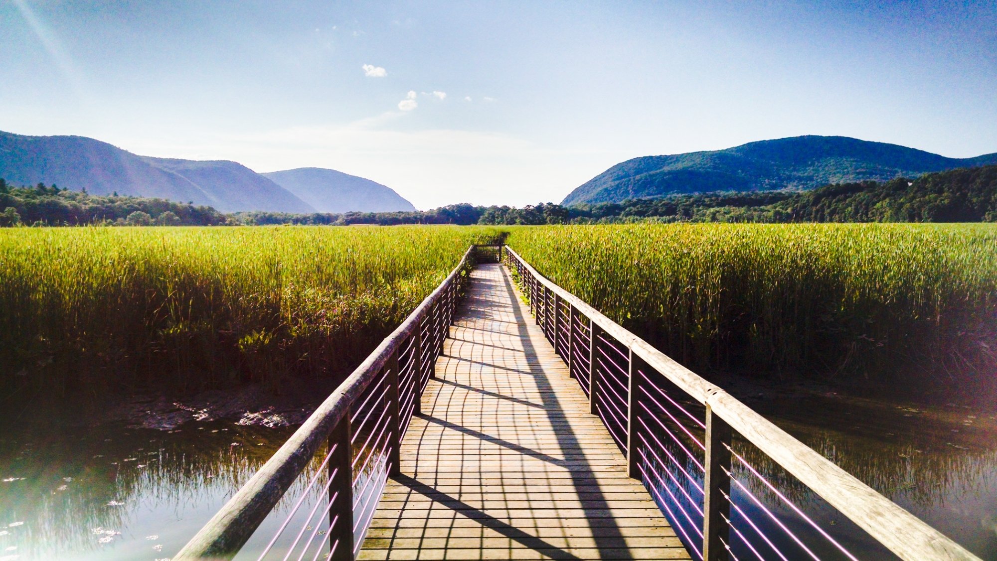 Constitution Marsh Audubon Center and Sanctuary