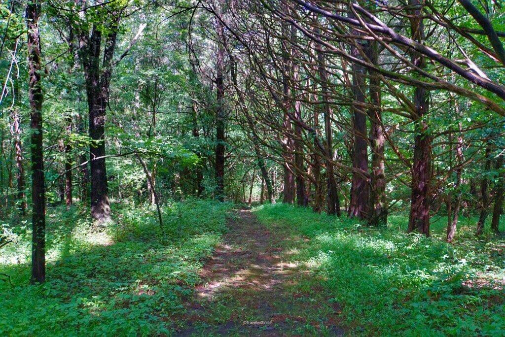 Strawberry Plains Audubon Center