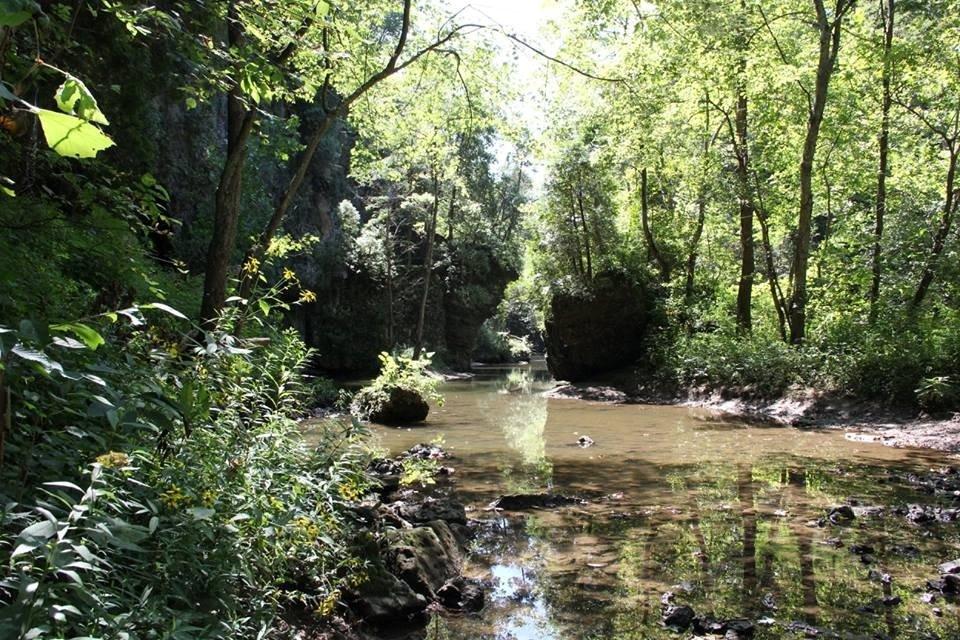 Highlands Nature Sanctuary