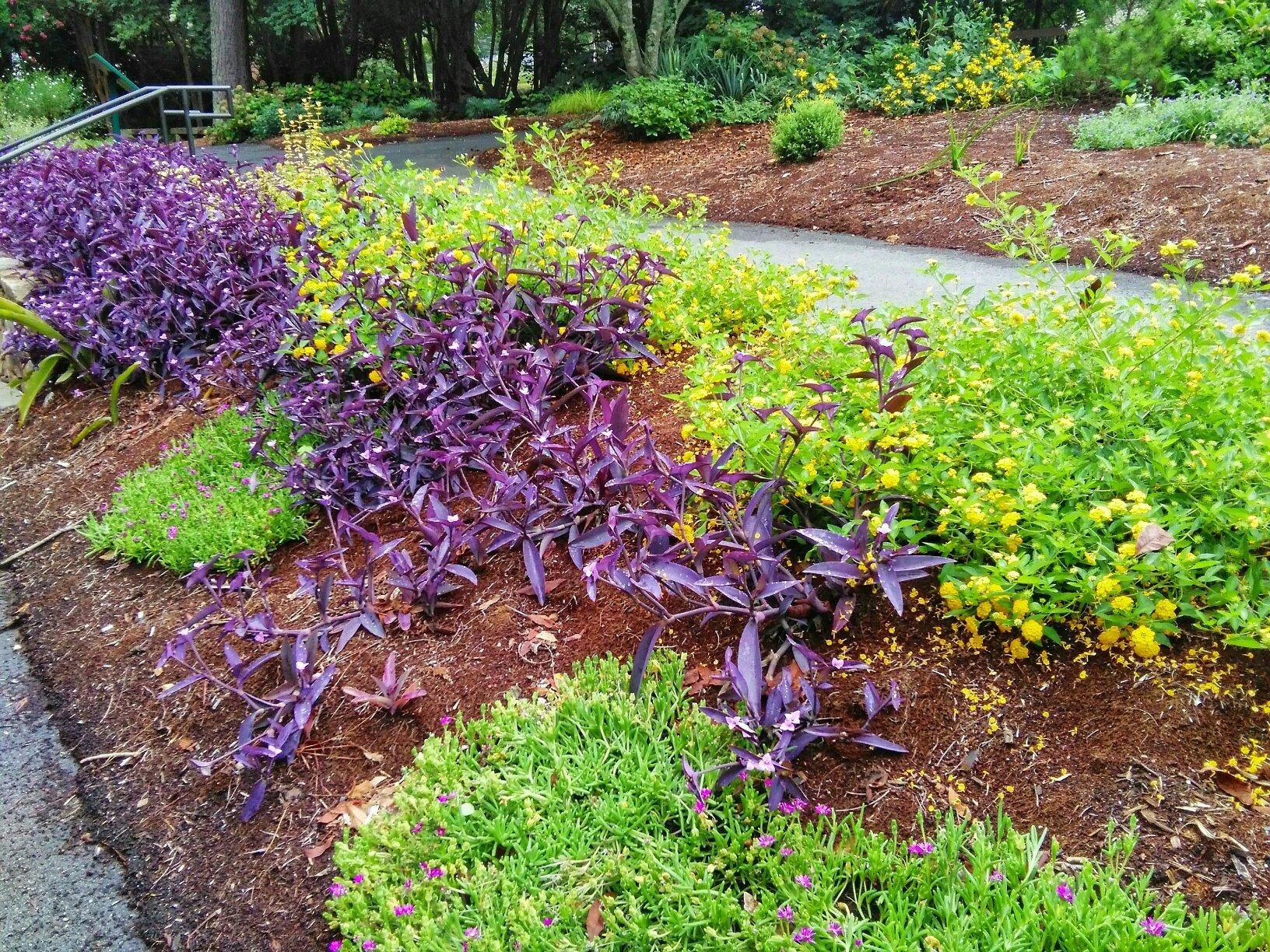 Hatcher Garden and Woodland Preserve