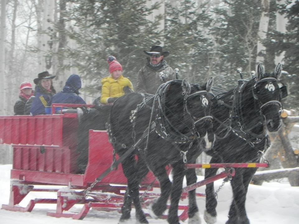 Park City Sleigh Rides