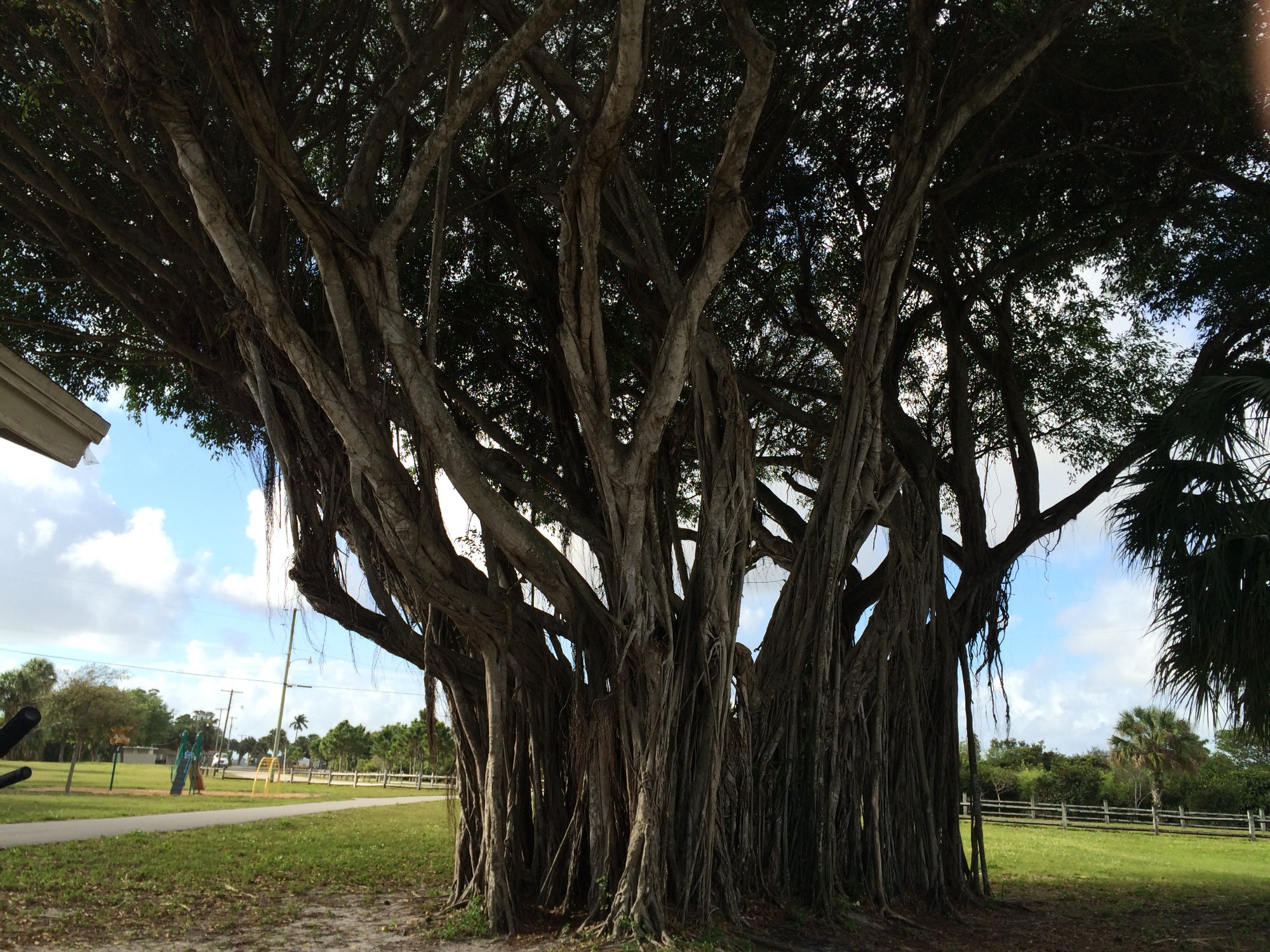 John Prince Memorial Park