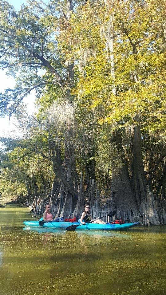 Honey Island Kayak Tours