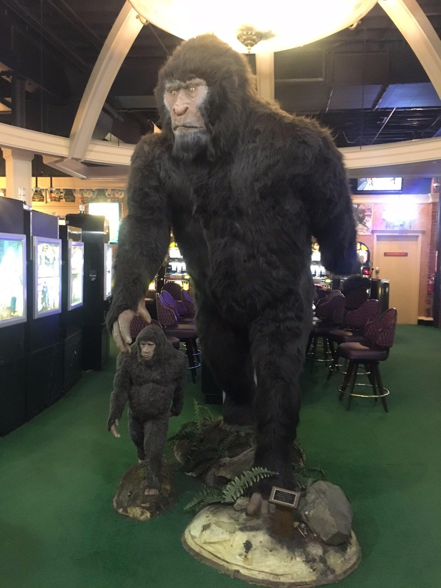 Sasquatch Casino