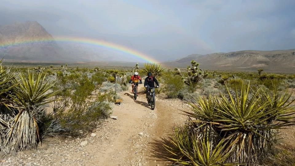 Southwest Bikes