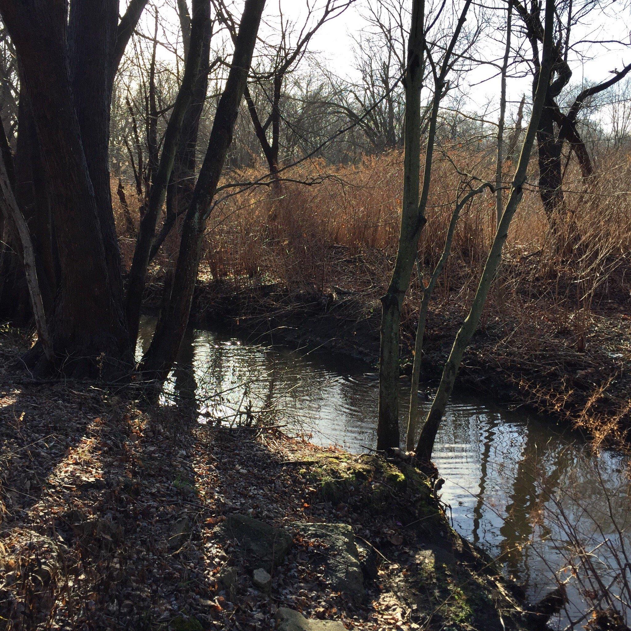 Teaneck Creek Conservancy