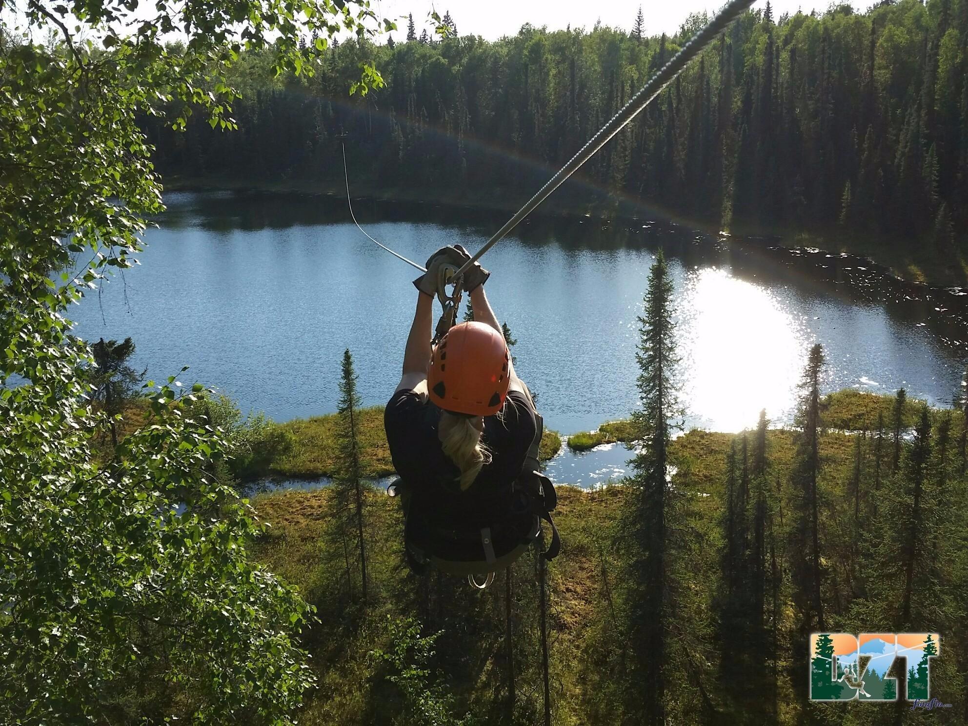 Denali Zipline Tours