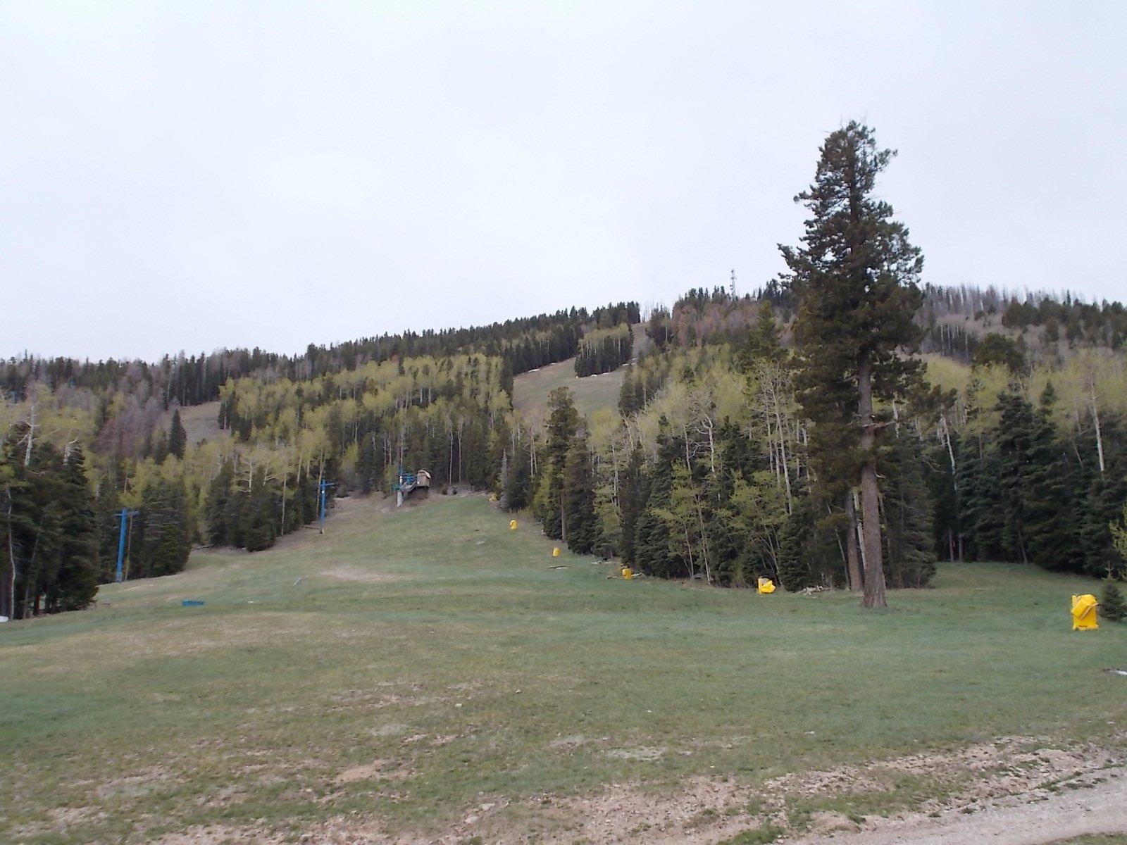 Pajarito Mountain Cafe