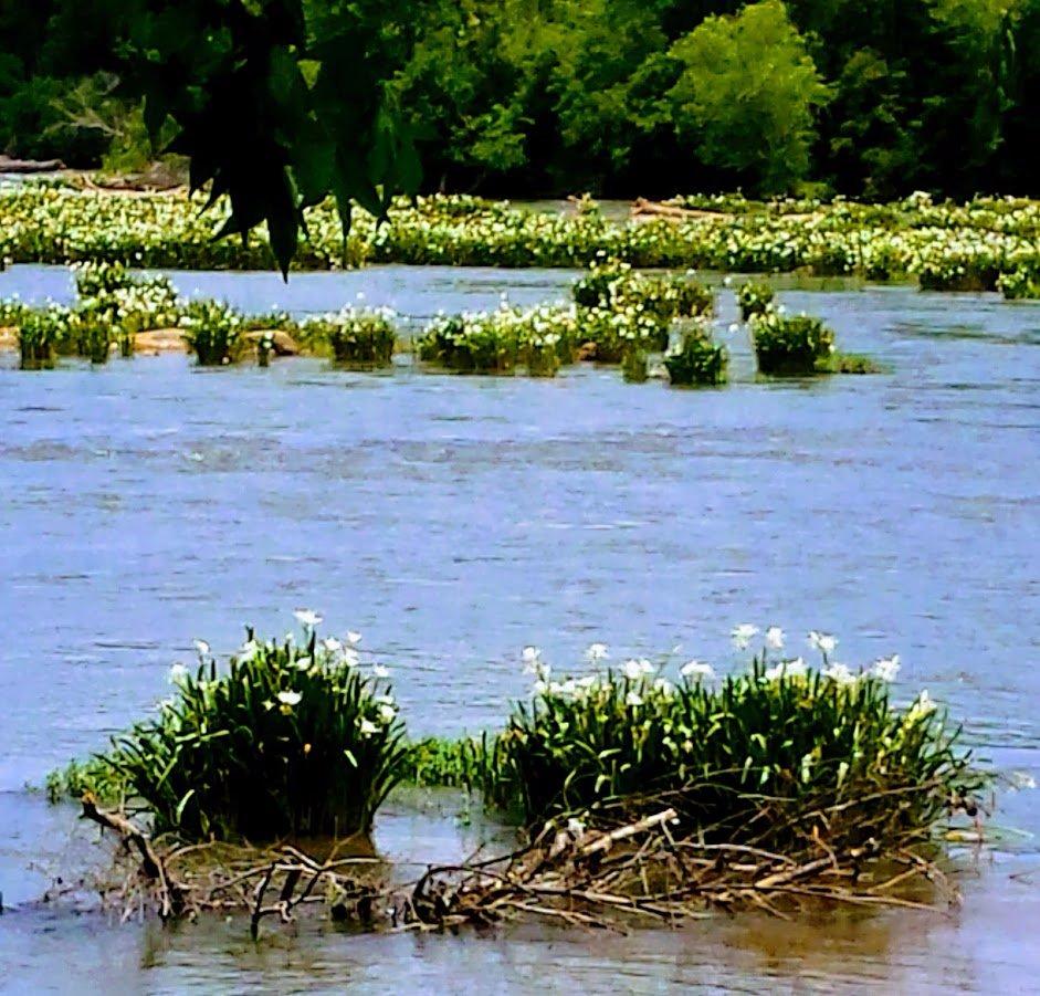 Landsford Canal State Park