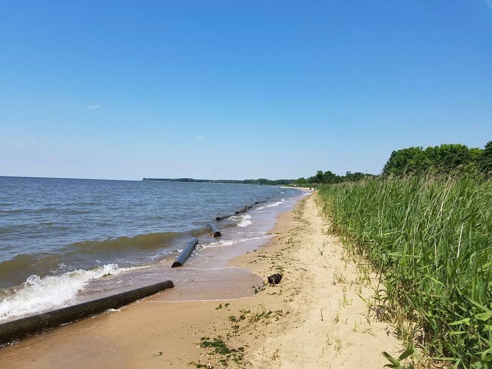 Terrapin Nature Park