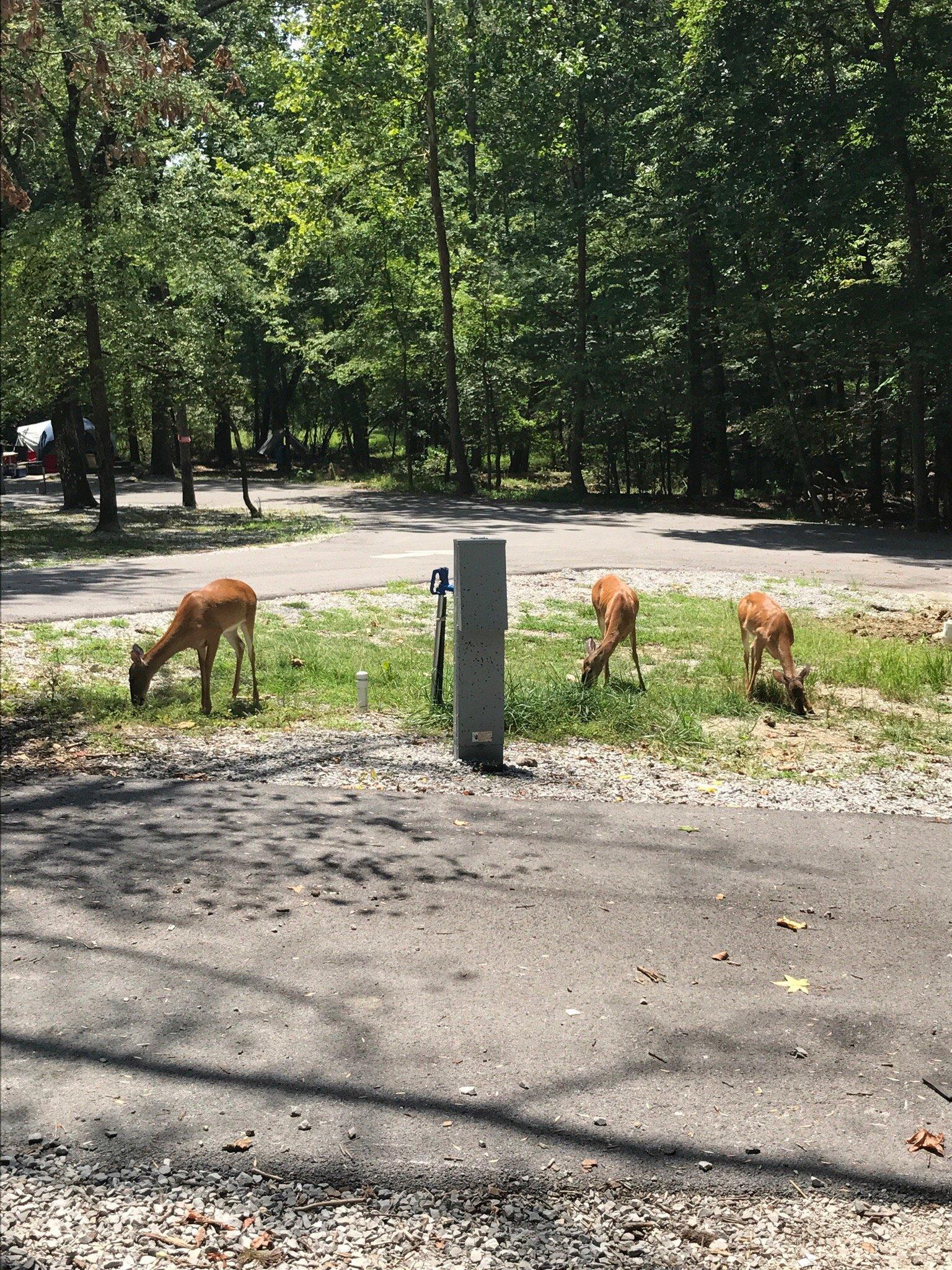 Harrison Bay State Park