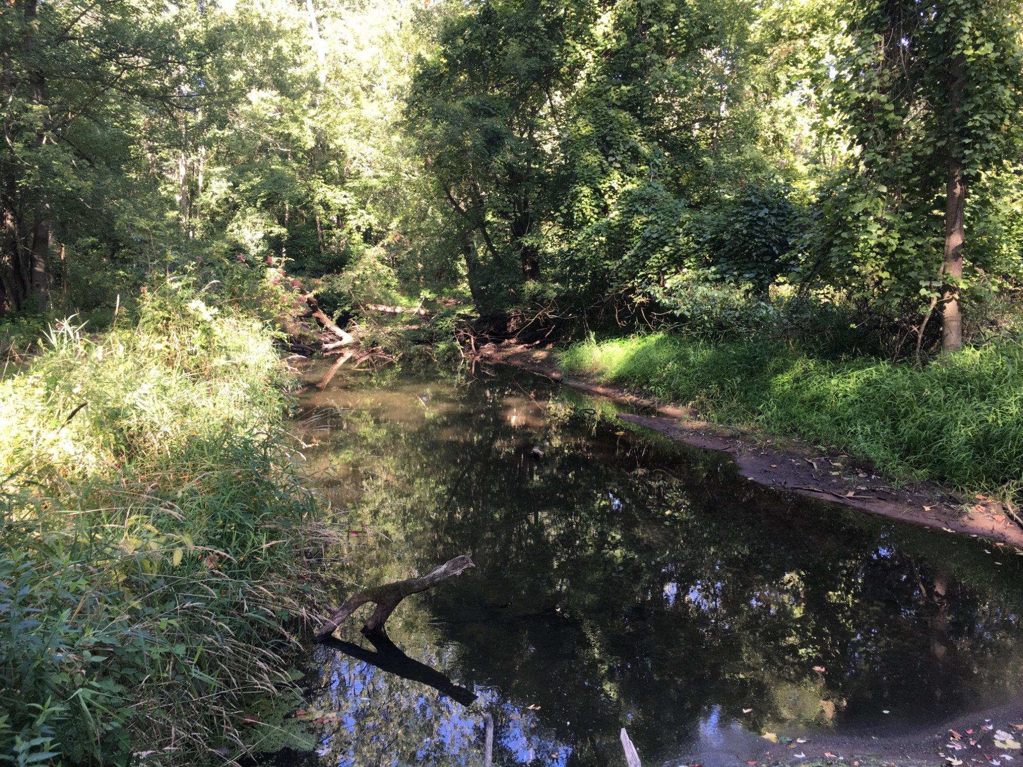 Pigeon Creek County Park