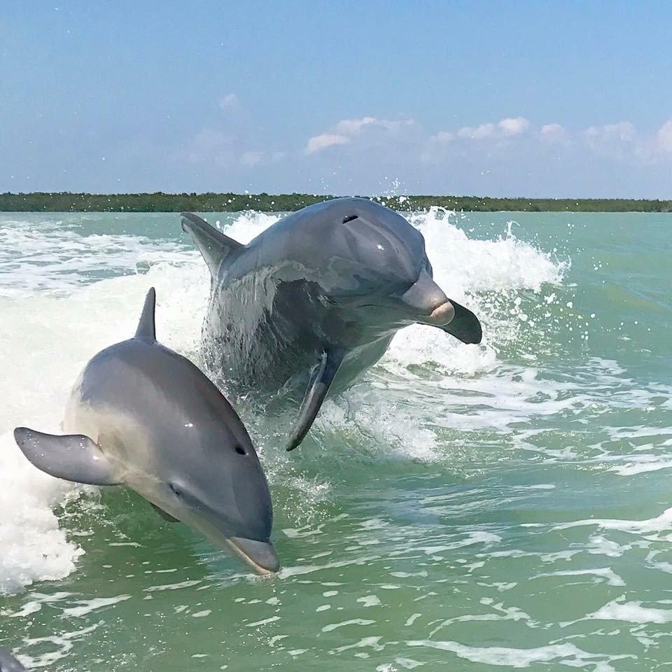 Marco Island Water Sports